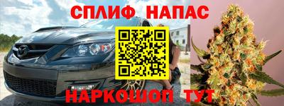 ECSTASY Камышлов