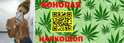 ECSTASY Камышлов