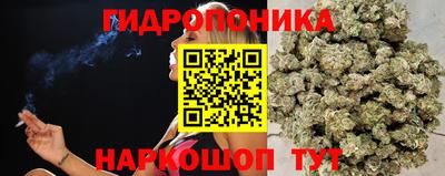 дмт Кандалакша